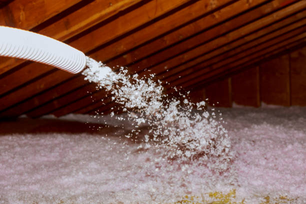 Best Specialized Insulation Services in Progress Village, FL
